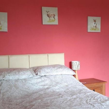 Bed and Breakfast Plumtree House Brigsteer Exteriér fotografie